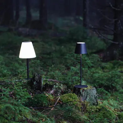 Move Bordslampa